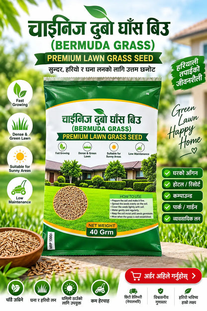 Chinese Bermuda Grass Seed – Premium Lawn Grass Seed