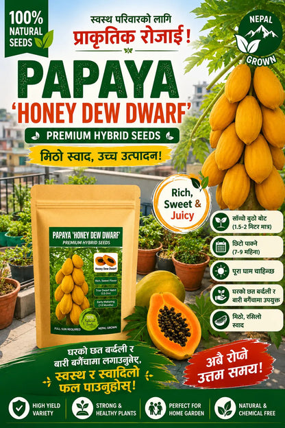 50 Seeds - (Premium Hybrid Honey Dew Dwarf Papaya Seeds)