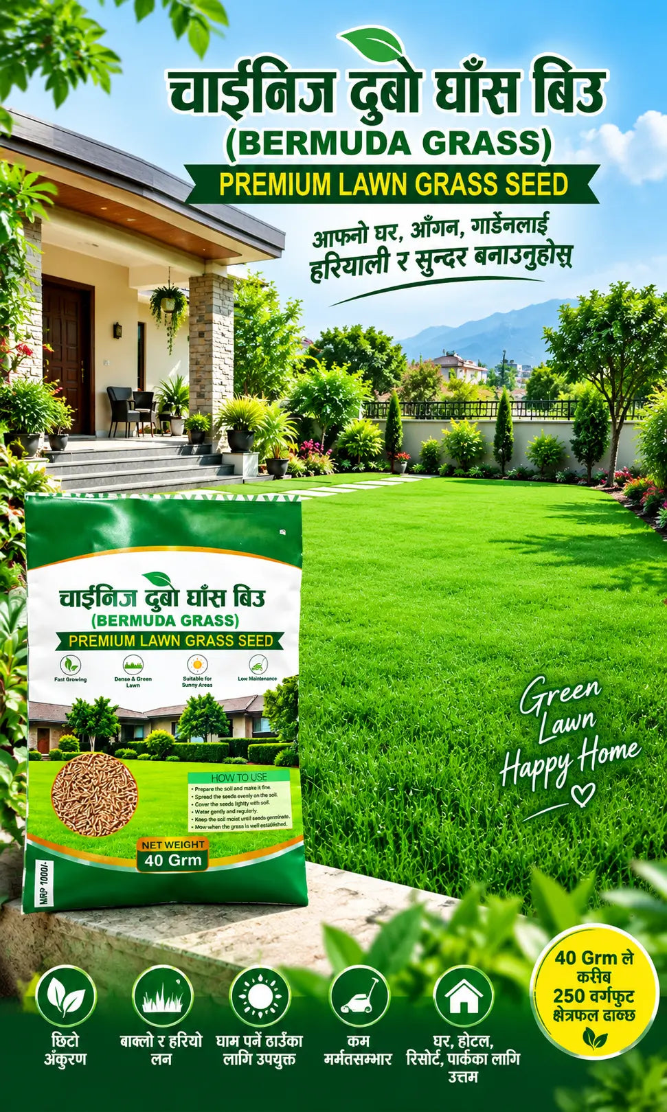 Chinese Bermuda Grass Seed – Premium Lawn Grass Seed
